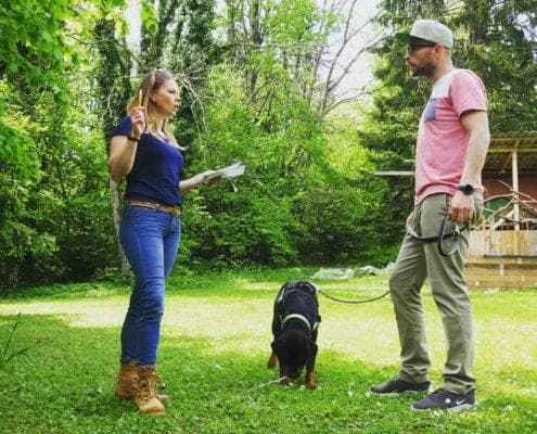 Hundetraining Praxis