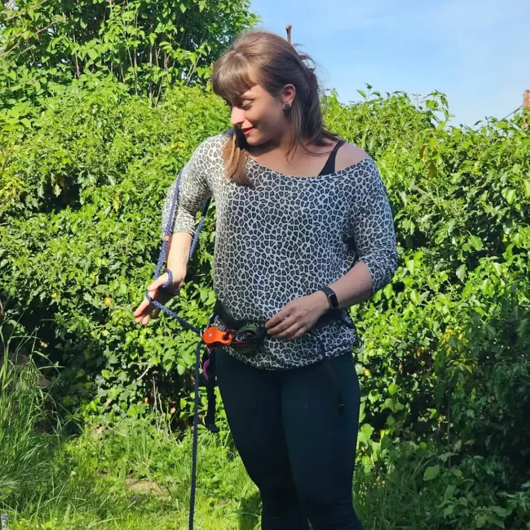 Hundetrainer Ausbildung Praxis-Phase bei Willenskraft